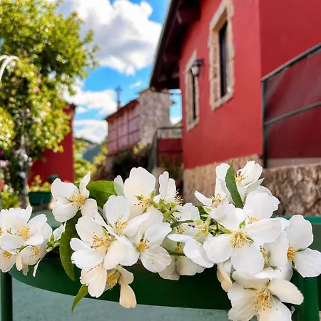 Apartamento Tres Soles Silleda